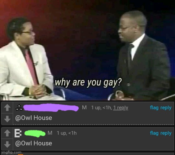 image tagged in why are you gay | made w/ Imgflip meme maker