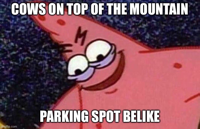 Cows! | COWS ON TOP OF THE MOUNTAIN; PARKING SPOT BE LIKE | image tagged in evil patrick | made w/ Imgflip meme maker