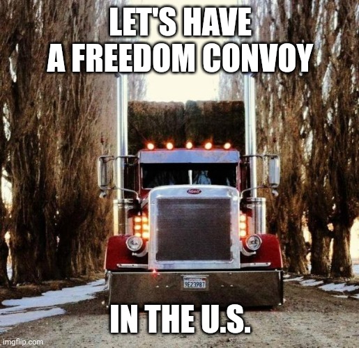 That would be so cool |  LET'S HAVE A FREEDOM CONVOY; IN THE U.S. | image tagged in old truckers,convoy,freedom,conservatives,protesters | made w/ Imgflip meme maker