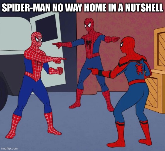 If you know, you know | SPIDER-MAN NO WAY HOME IN A NUTSHELL | image tagged in spider man triple | made w/ Imgflip meme maker