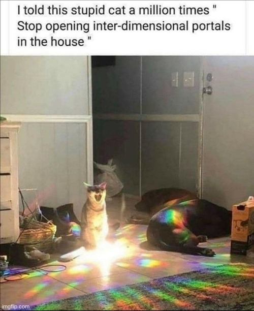 image tagged in cats,repost | made w/ Imgflip meme maker