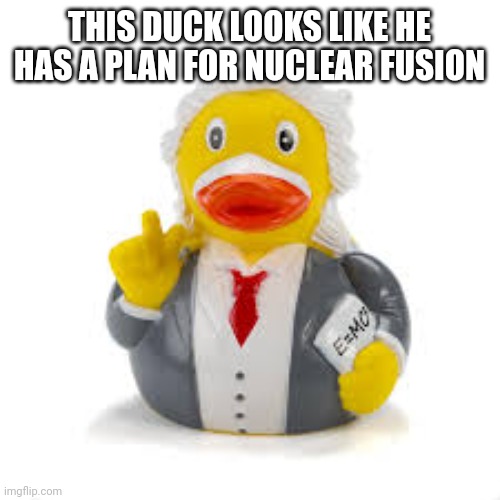 Science duck | THIS DUCK LOOKS LIKE HE HAS A PLAN FOR NUCLEAR FUSION | image tagged in duck,nuclear fusion | made w/ Imgflip meme maker
