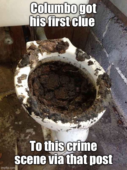 toilet | Columbo got his first clue To this crime scene via that post | image tagged in toilet | made w/ Imgflip meme maker