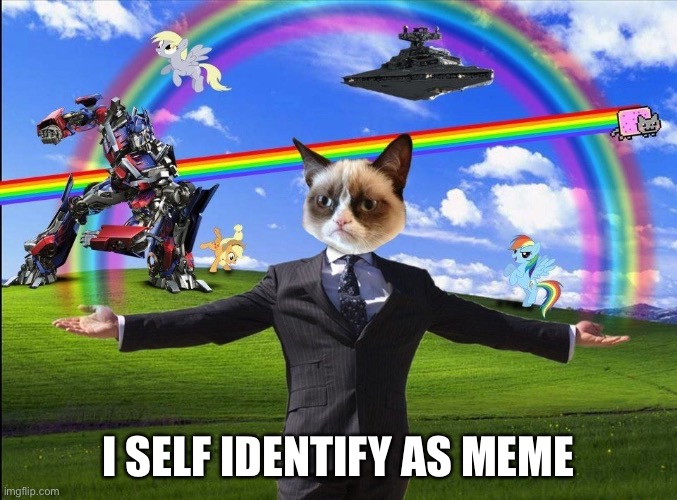 Welcome to the Internet | I SELF IDENTIFY AS MEME | image tagged in welcome to the internet | made w/ Imgflip meme maker