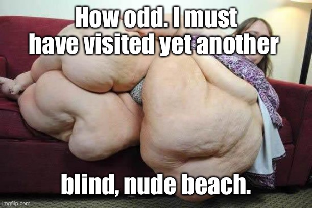 fat girl | How odd. I must have visited yet another blind, nude beach. | image tagged in fat girl | made w/ Imgflip meme maker
