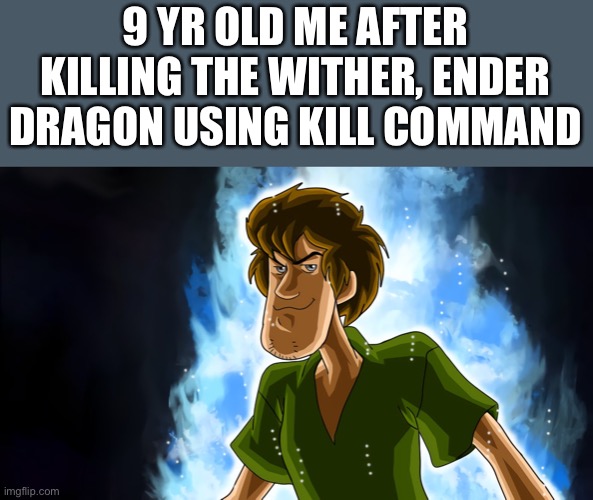 Ultra instinct shaggy | 9 YR OLD ME AFTER KILLING THE WITHER, ENDER DRAGON USING KILL COMMAND | image tagged in ultra instinct shaggy | made w/ Imgflip meme maker