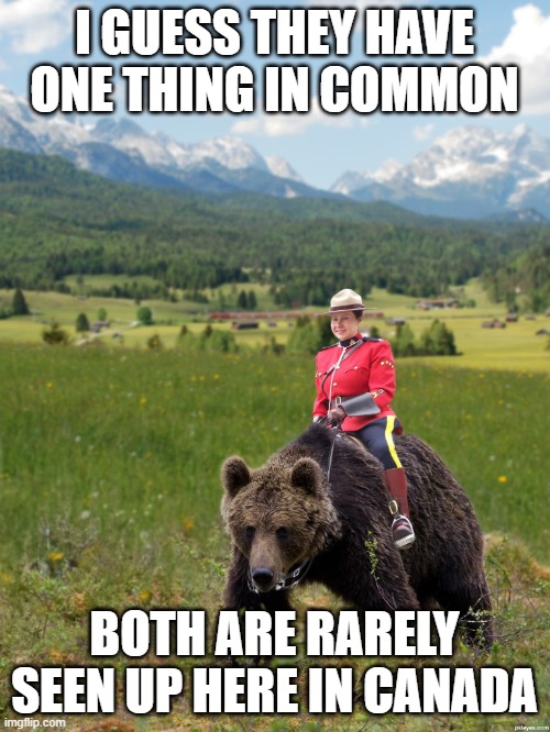 Canada | I GUESS THEY HAVE ONE THING IN COMMON BOTH ARE RARELY SEEN UP HERE IN CANADA | image tagged in canada | made w/ Imgflip meme maker