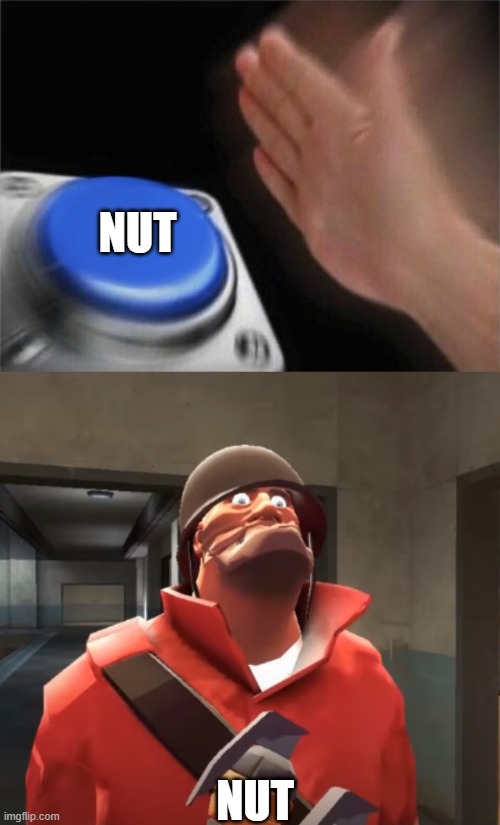 Nut button | NUT; NUT | image tagged in memes,blank nut button,i am scared you maggots,soldier tf2,oh wow are you actually reading these tags | made w/ Imgflip meme maker