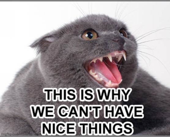 Can't have nice things | image tagged in can't have nice things | made w/ Imgflip meme maker