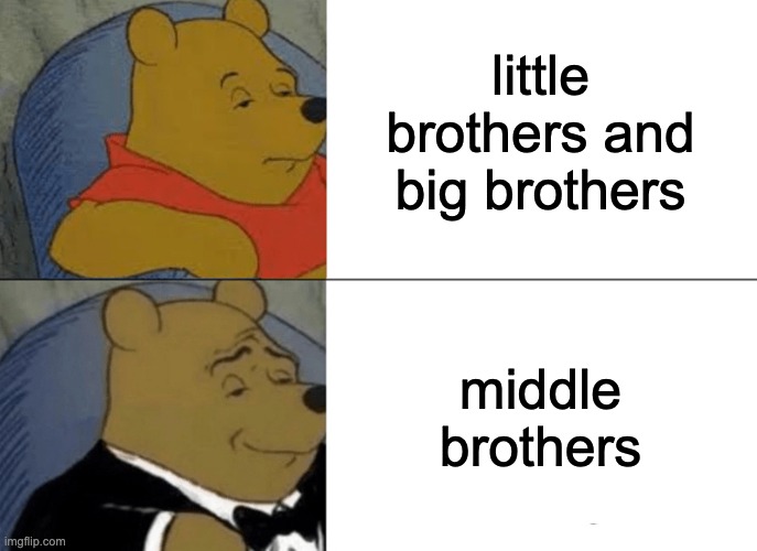 Tuxedo Winnie The Pooh Meme | little brothers and big brothers; middle brothers | image tagged in memes,tuxedo winnie the pooh | made w/ Imgflip meme maker