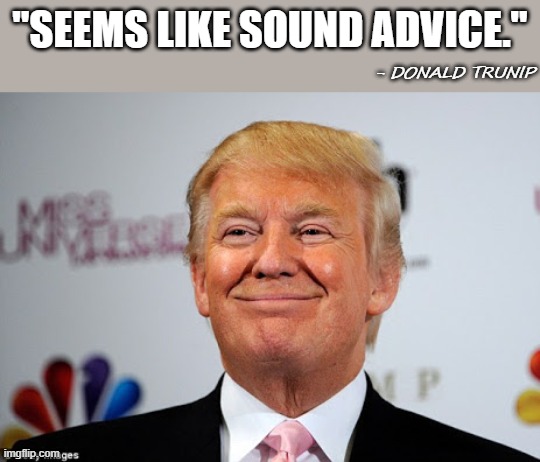 Donald trump approves | "SEEMS LIKE SOUND ADVICE." - DONALD TRUNIP | image tagged in donald trump approves | made w/ Imgflip meme maker