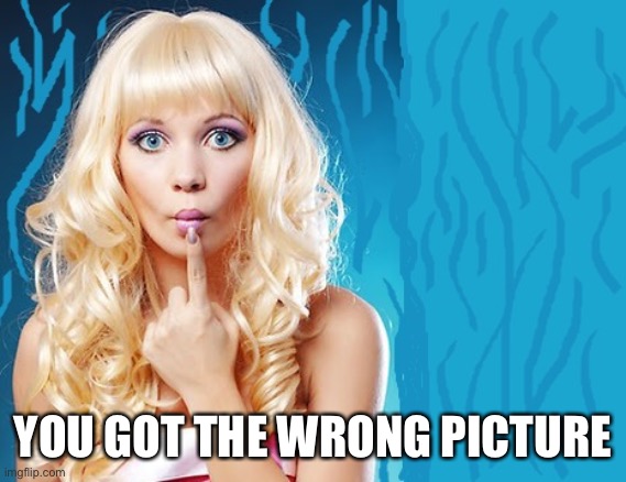 ditzy blonde | YOU GOT THE WRONG PICTURE | image tagged in ditzy blonde | made w/ Imgflip meme maker