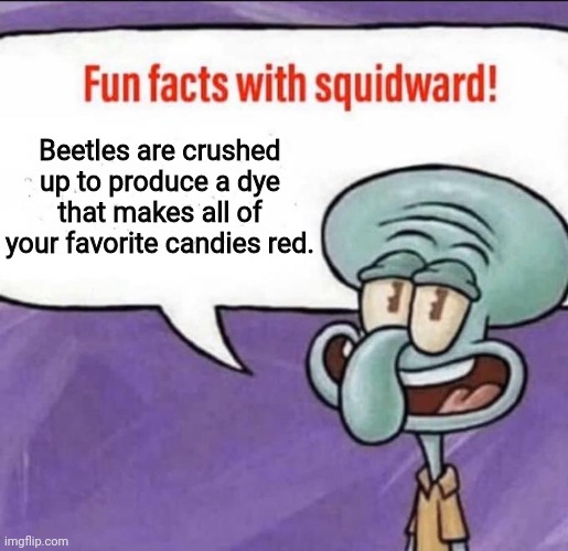 Fun Facts with Squidward | Beetles are crushed up to produce a dye that makes all of your favorite candies red. | image tagged in fun facts with squidward | made w/ Imgflip meme maker