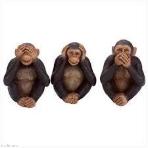 See no Evil Hear no Evil Speak no Evil | image tagged in see no evil hear no evil speak no evil | made w/ Imgflip meme maker