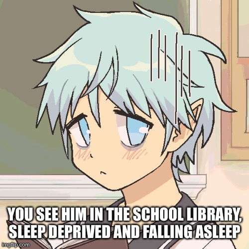 NO BAMBI OCS OR JOKE OCS | YOU SEE HIM IN THE SCHOOL LIBRARY, SLEEP DEPRIVED AND FALLING ASLEEP | made w/ Imgflip meme maker