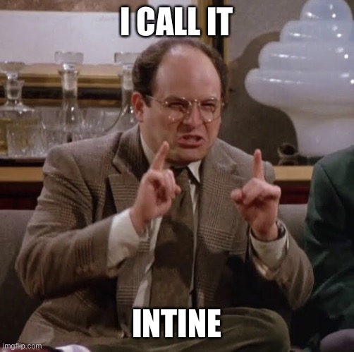 Nothing George | I CALL IT INTINE | image tagged in nothing george | made w/ Imgflip meme maker
