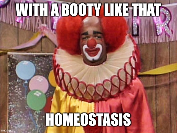 Flipping through 4 Year Old Memes, While Watching Jeopardy. It Came to Me. The Most Terrible Pun of All Time. | WITH A BOOTY LIKE THAT; HOMEOSTASIS | image tagged in homey the clown,memes,funny,terrible puns | made w/ Imgflip meme maker