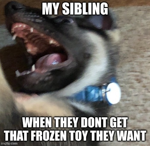 angy doggo | MY SIBLING; WHEN THEY DONT GET THAT FROZEN TOY THEY WANT | image tagged in angy doggo | made w/ Imgflip meme maker