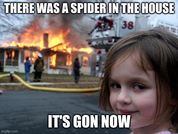 Disaster Girl | THERE WAS A SPIDER IN THE HOUSE; IT'S GON NOW | image tagged in memes,disaster girl | made w/ Imgflip meme maker