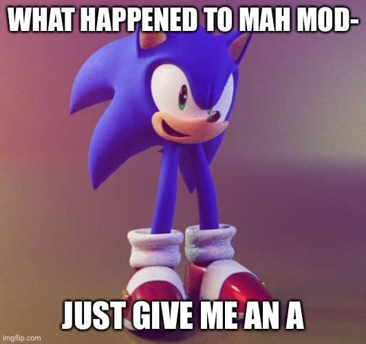 Sonk | WHAT HAPPENED TO MAH MOD-; JUST GIVE ME AN ANSWER | image tagged in sonk | made w/ Imgflip meme maker