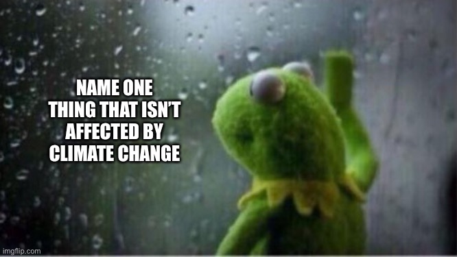 Kermit rain | NAME ONE THING THAT ISN’T AFFECTED BY CLIMATE CHANGE | image tagged in kermit rain | made w/ Imgflip meme maker