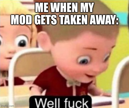 What happened | ME WHEN MY MOD GETS TAKEN AWAY: | image tagged in well f ck | made w/ Imgflip meme maker