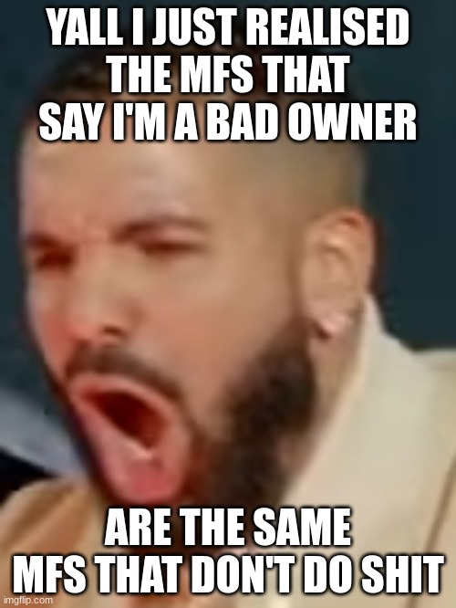 Drake pog | YALL I JUST REALISED
THE MFS THAT SAY I'M A BAD OWNER; ARE THE SAME MFS THAT DON'T DO SHIT | image tagged in drake pog | made w/ Imgflip meme maker