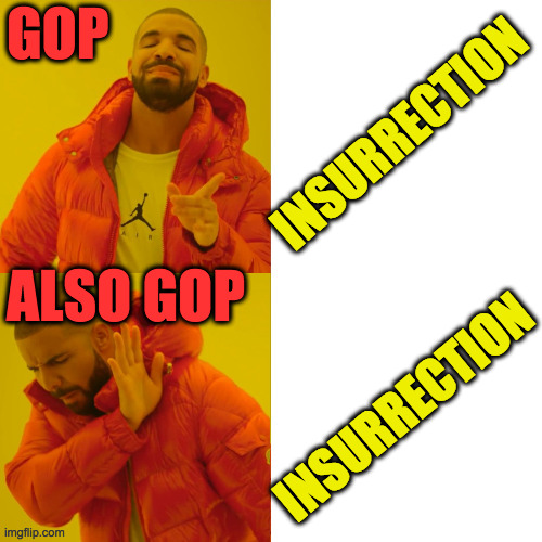 Anarchy or democracy?  Just let us know when you decide. | GOP
 
 
 
ALSO GOP; INSURRECTION; INSURRECTION | image tagged in reverse drake,memes,gop,insurrection | made w/ Imgflip meme maker