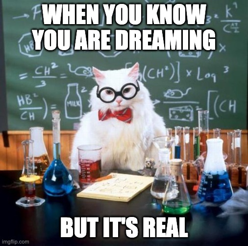 Chemistry Cat |  WHEN YOU KNOW YOU ARE DREAMING; BUT IT'S REAL | image tagged in memes,chemistry cat | made w/ Imgflip meme maker