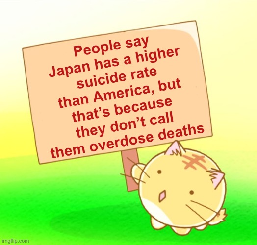 Not really. The US has 2x More. Plus Overdoses it’s 4x More. | People say Japan has a higher suicide rate than America, but that’s because they don’t call them overdose deaths | image tagged in poyo cat holding sign text | made w/ Imgflip meme maker