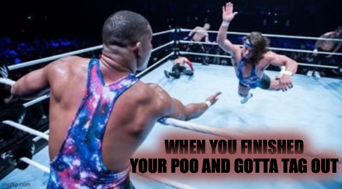 Wrestling Tag Team | WHEN YOU FINISHED YOUR POO AND GOTTA TAG OUT | image tagged in wrestling tag team | made w/ Imgflip meme maker