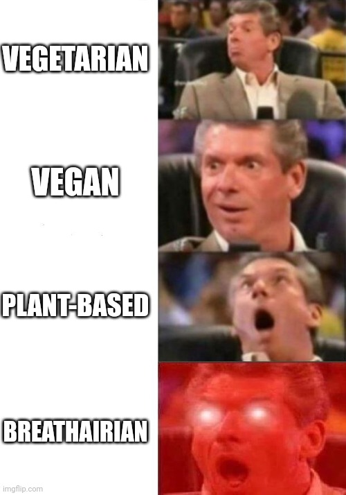 I'll just eat my burger over here | VEGETARIAN; VEGAN; PLANT-BASED; BREATHAIRIAN | image tagged in mr mcmahon reaction | made w/ Imgflip meme maker