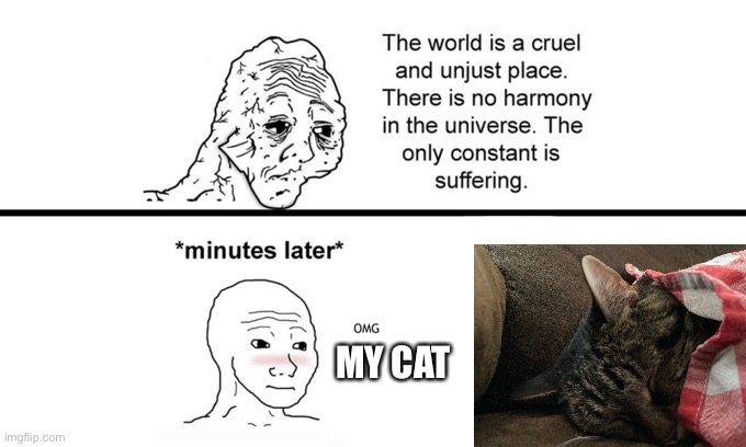 My cute cat wrapped in a towel | MY CAT | image tagged in the world is a cruel and unjust place | made w/ Imgflip meme maker