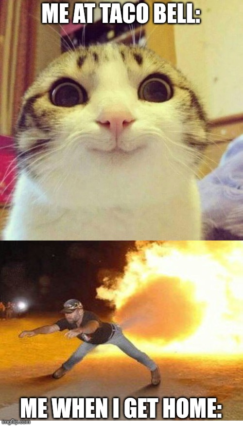 Smiling Cat | ME AT TACO BELL:; ME WHEN I GET HOME: | image tagged in memes,smiling cat | made w/ Imgflip meme maker