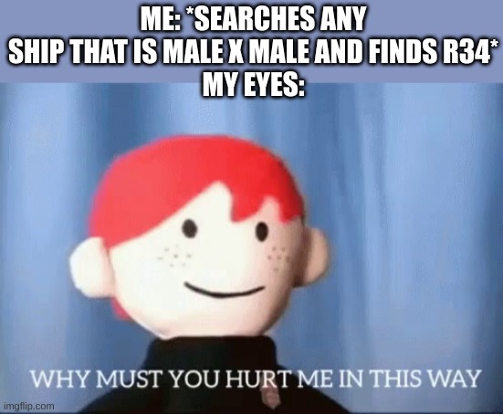 My eyes have seen better days | ME: *SEARCHES ANY SHIP THAT IS MALE X MALE AND FINDS R34*
MY EYES: | image tagged in why must you hurt me in this way | made w/ Imgflip meme maker