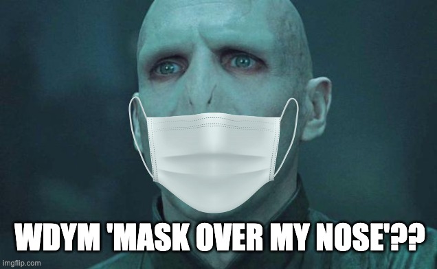 He doesn't have one! Give the Dark Lord some respect >:( | WDYM 'MASK OVER MY NOSE'?? | image tagged in voldemort,harry potter | made w/ Imgflip meme maker