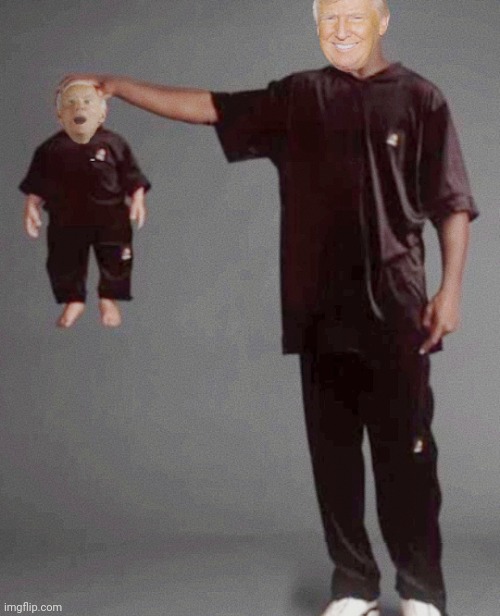 image tagged in big daddy trump,baby biden | made w/ Imgflip meme maker