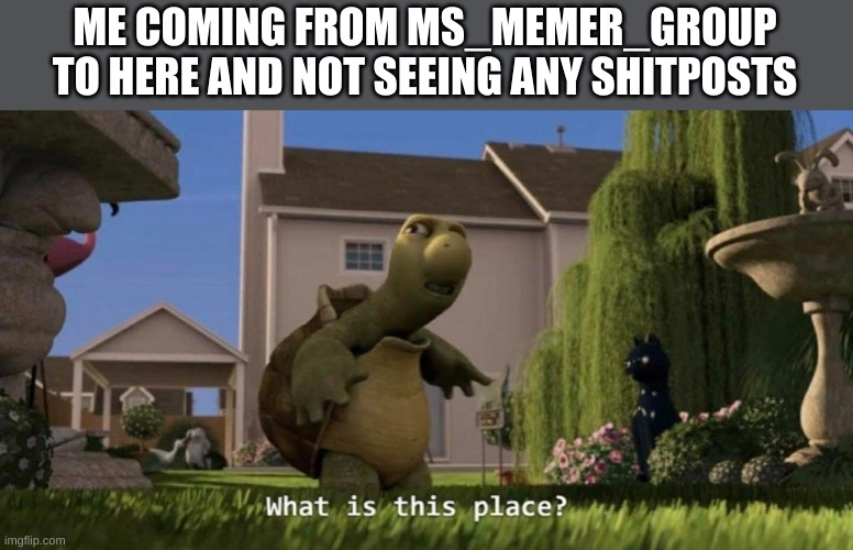 What is this place | ME COMING FROM MS_MEMER_GROUP TO HERE AND NOT SEEING ANY SHITPOSTS | image tagged in what is this place | made w/ Imgflip meme maker