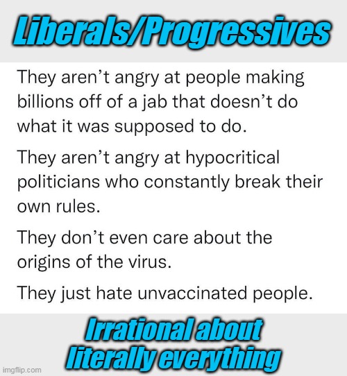 Haters gonna hate. | Liberals/Progressives; Irrational about literally everything | image tagged in liberal hypocrisy,covid,election fraud | made w/ Imgflip meme maker
