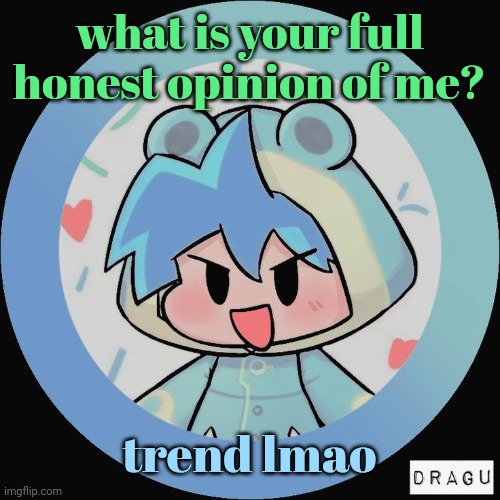 Frog. | what is your full honest opinion of me? trend lmao | image tagged in frog | made w/ Imgflip meme maker