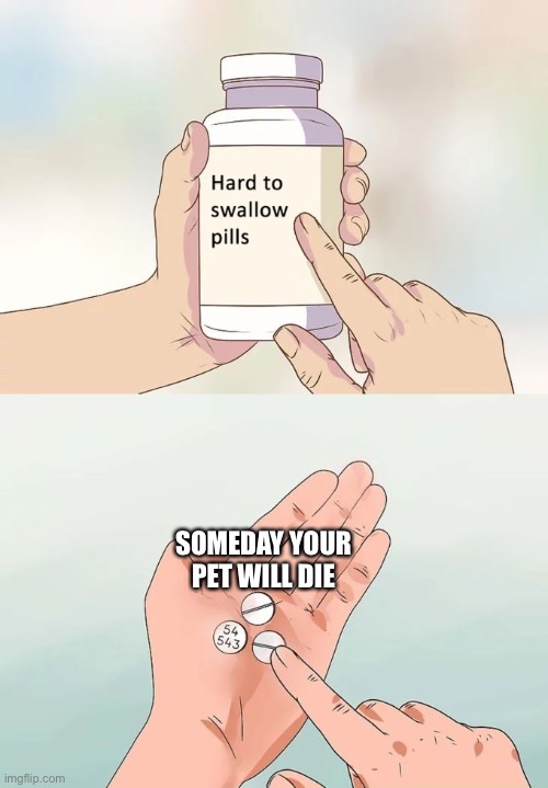 Hard To Swallow Pills Meme | SOMEDAY YOUR PET WILL DIE | image tagged in memes,hard to swallow pills,pets,sad | made w/ Imgflip meme maker