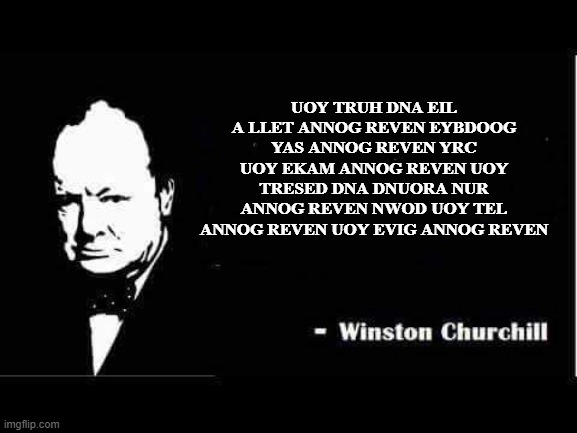 Winston Churchill once said... | UOY TRUH DNA EIL A LLET ANNOG REVEN EYBDOOG YAS ANNOG REVEN YRC UOY EKAM ANNOG REVEN UOY TRESED DNA DNUORA NUR ANNOG REVEN NWOD UOY TEL ANNOG REVEN UOY EVIG ANNOG REVEN | image tagged in churchill,winston churchill,funny memes | made w/ Imgflip meme maker