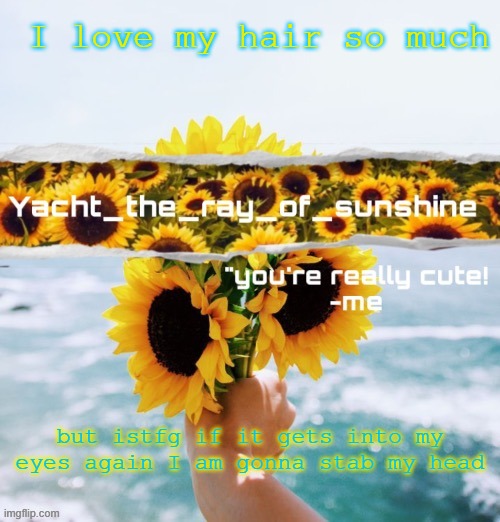 yacht's sunflower temp (THANK YOU SUGA) | I love my hair so much; but istfg if it gets into my eyes again I am gonna stab my head | image tagged in yacht's sunflower temp thank you suga | made w/ Imgflip meme maker
