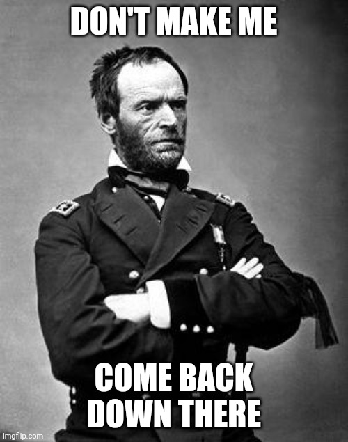 General Sherman | DON'T MAKE ME; COME BACK DOWN THERE | image tagged in general sherman | made w/ Imgflip meme maker