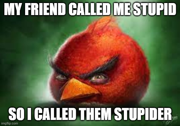 Realistic Red Angry Birds | MY FRIEND CALLED ME STUPID; SO I CALLED THEM STUPIDER | image tagged in realistic red angry birds | made w/ Imgflip meme maker