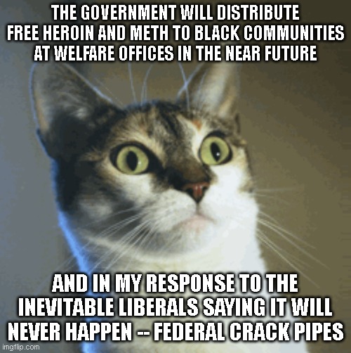 Surprised Cat | THE GOVERNMENT WILL DISTRIBUTE FREE HEROIN AND METH TO BLACK COMMUNITIES AT WELFARE OFFICES IN THE NEAR FUTURE; AND IN MY RESPONSE TO THE INEVITABLE LIBERALS SAYING IT WILL NEVER HAPPEN -- FEDERAL CRACK PIPES | image tagged in surprised cat | made w/ Imgflip meme maker