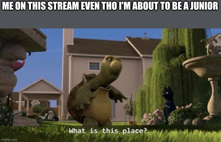 What is this place | ME ON THIS STREAM EVEN THO I'M ABOUT TO BE A JUNIOR | image tagged in what is this place | made w/ Imgflip meme maker