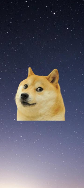 High Quality dogesh Blank Meme Template