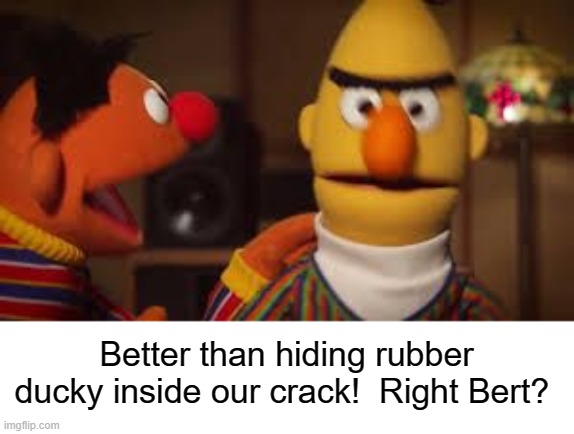 Bert and Ernie  | Better than hiding rubber ducky inside our crack!  Right Bert? | image tagged in bert and ernie | made w/ Imgflip meme maker