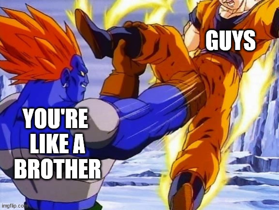 DBZ ANDRIOD 13 PUNCHES GOKU IN DA BALLZ | GUYS; YOU'RE
 LIKE A
 BROTHER | image tagged in dbz andriod 13 punches goku in da ballz | made w/ Imgflip meme maker